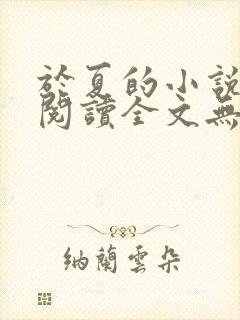 于夏的小说免费阅读全文无弹窗