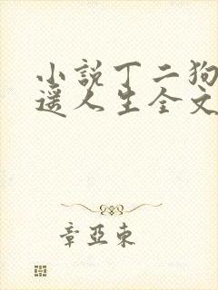 小说丁二狗的逍遥人生全文阅读