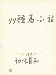 yy种马小说封面