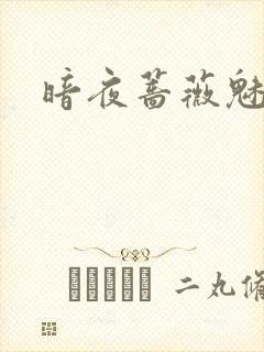 暗夜蔷薇魅封面