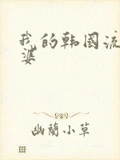 我的韩国流氓老婆