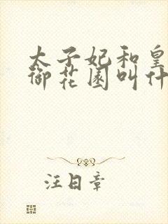 太子妃和皇帝在御花园叫什么小说