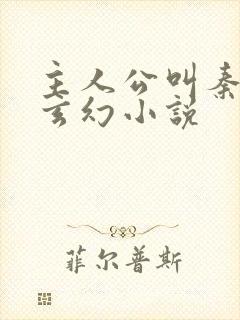 主人公叫秦初的玄幻小说