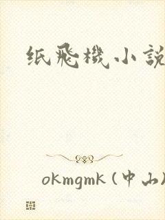 纸飞机小说