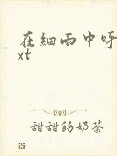 在细雨中呼喊txt