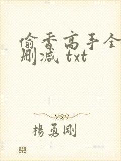 偷香高手全文无删减 txt