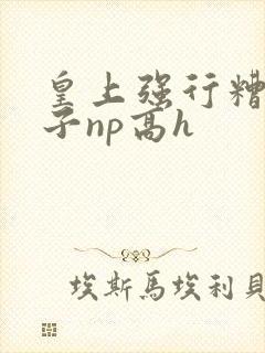 皇上强行糟蹋太子np高h封面