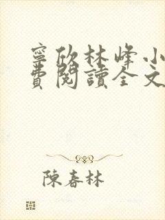 宁欣林峰小说免费阅读全文无弹窗