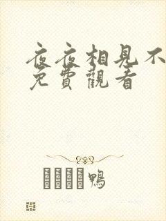 夜夜相见不识君免费观看封面