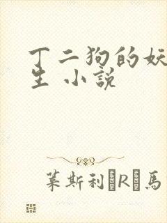 丁二狗的妖孽人生 小说