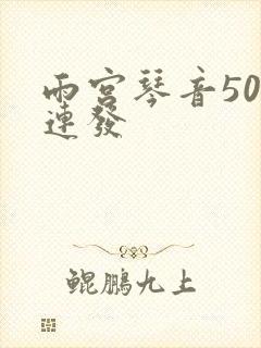 雨宫琴音500连发