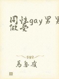 同性gay男男做受