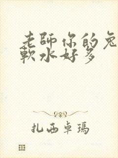 老师你的兔子好软水好多