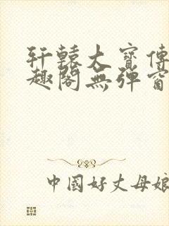 轩辕大宝传奇笔趣阁无弹窗封面