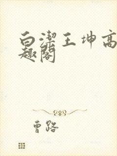 白洁王坤高义笔趣阁