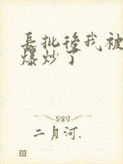 长批后我被宿敌爆炒了