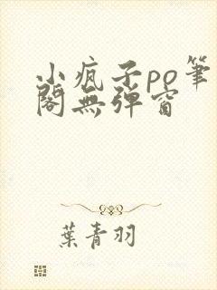 小疯子po笔趣阁无弹窗