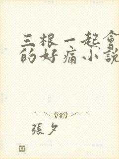 三根一起会坏掉的好痛小说封面