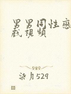 男男同性恋激情戏视频