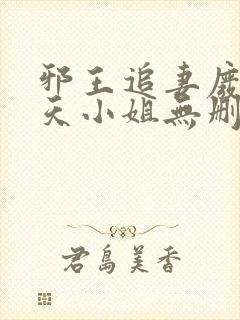 邪王追妻废材逆天小姐无删减封面