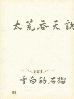 太荒吞天诀小说