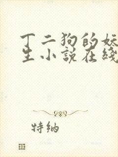 丁二狗的妖孽人生小说在线阅读