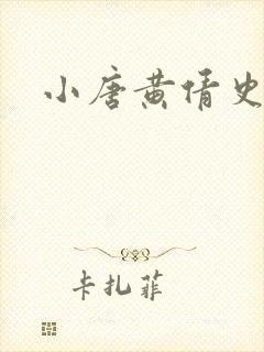 小唐黄倩史