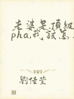 老婆是顶级alpha,我该怎么办笔趣阁