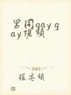 男同gay gay视频