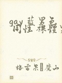 gay 蓝男色 同性 裸体男模