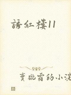 诱红楼11