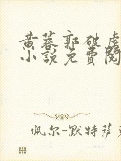 黄蓉郭破虏系列小说免费阅读