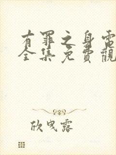 有罪之身电视剧全集免费观看高清