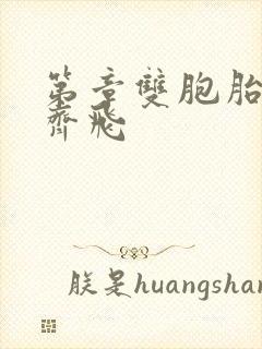 第章双胞胎姐妹齐飞