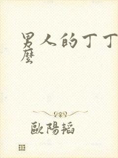 男人的丁丁是什么