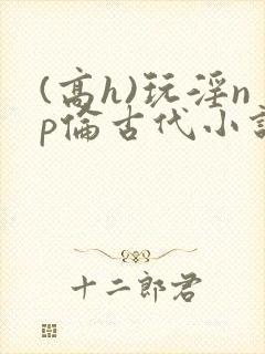 (高h)玩淫np伦古代小说
