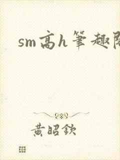 sm高h笔趣阁