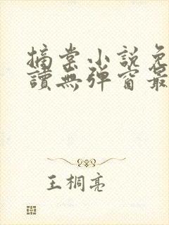 摘棠小说免费阅读无弹窗最新章节