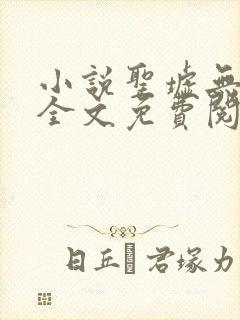 小说圣墟无弹窗全文免费阅读