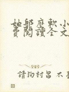 她那么软小说免费阅读全文封面