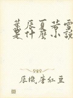 叶辰夏若雪孙怡是什么小说封面