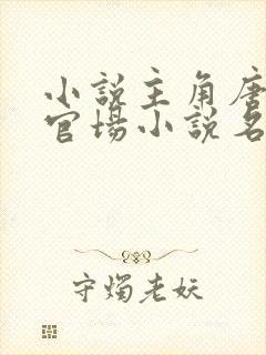 小说主角唐毅的官场小说名字