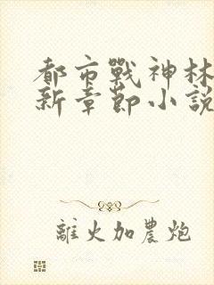 都市战神林北最新章节小说封面