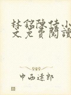 林铭陈佳小说全文免费阅读笔趣阁下载封面