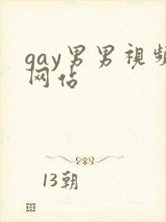 gay男男视频网站