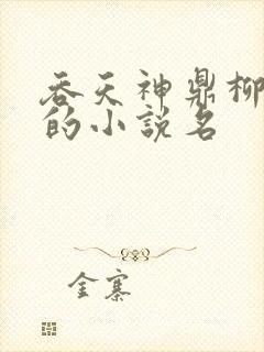 吞天神鼎柳无邪的小说名