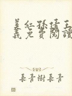 美红孙倩王申高义免费阅读