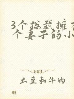 3个总裁拥有一个妻子的小说封面