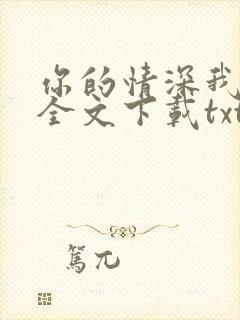 你的情深我不配全文下载txt下载