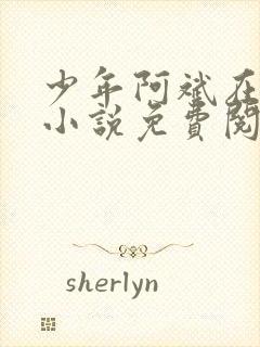 少年阿斌在线听小说免费阅读无弹窗